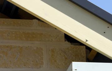 soffit repair Lee